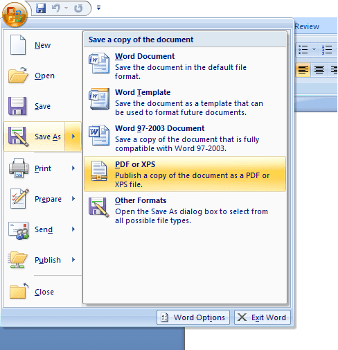 Cara Mudah Menyimpan Word Ke Pdf Di Office Word 2007