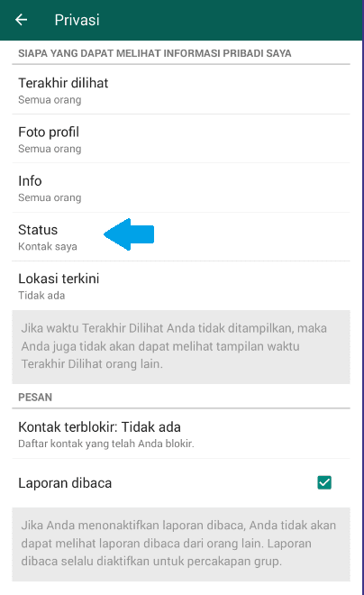 Cara Membuka Privasi Status  Wa  Orang Lain status  