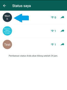 Cara Menyembunyikan Status  WA  dari Orang Lain Berhasil 