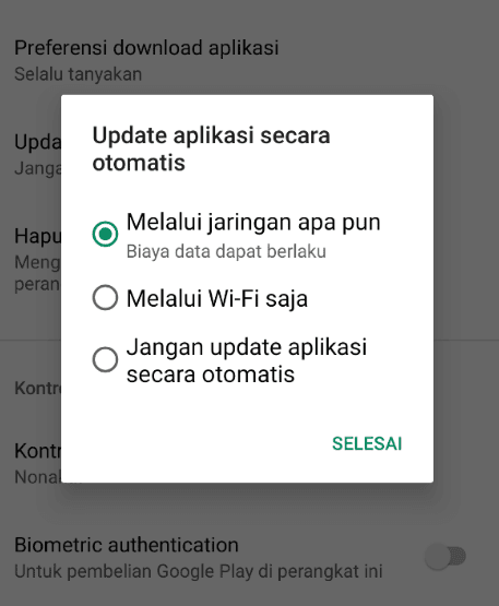 Setting Update Playstore