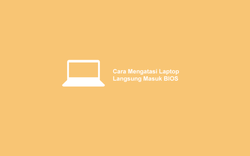 Cara Mengatasi Laptop Langsung Masuk BIOS