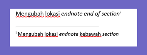 Mengatur section dari endnote