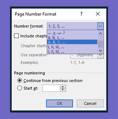 Setting Jenis Format Nomor