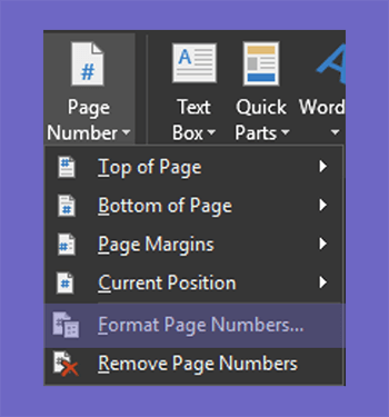 Menu Format Page Number di Office