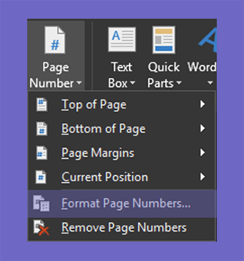 Format Page Number