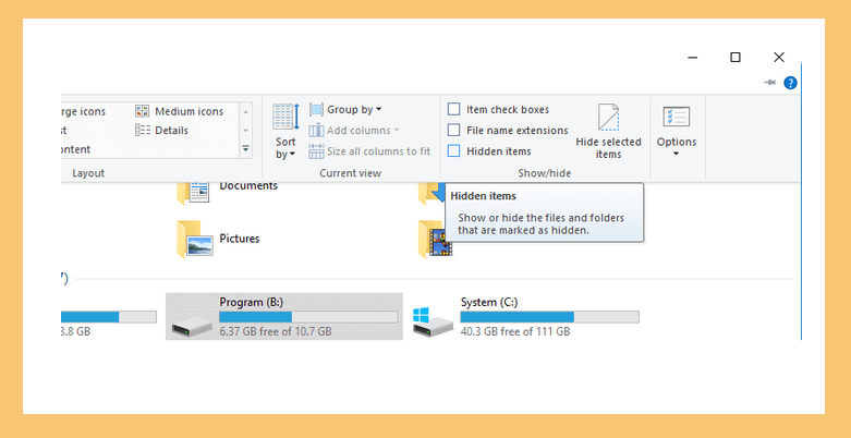 Show Hidden Files atau Folder