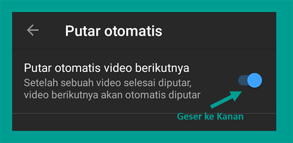 Contoh Pengaturan Autoplay