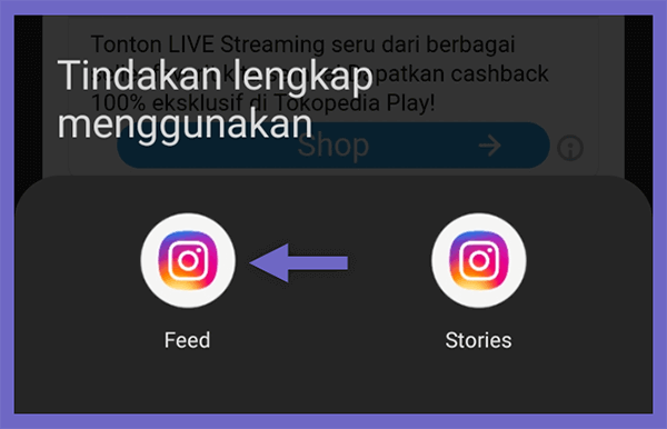 Menu Feed Instagram Inshot