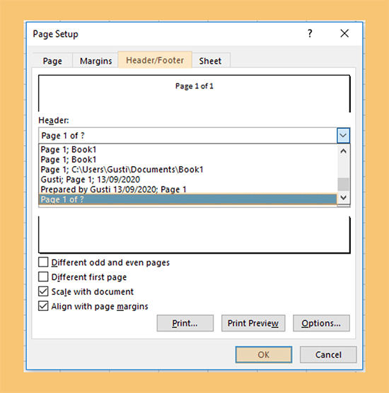 Contoh Preset Dokumen yang Dipakai