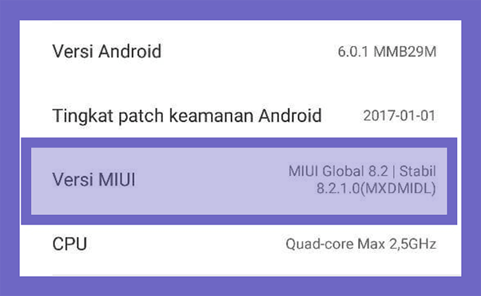 Mode Pengembang HP Xiaomi