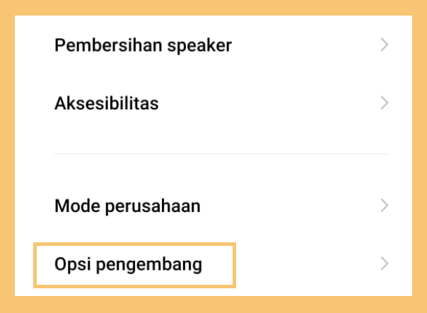 Opsi Pengembang HP Xiaomi