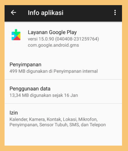 Info Aplikasi Layanan Google Play