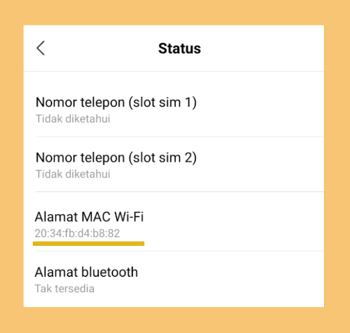 Alamat Mac Address Terdeteksi di HP - Cara Melihat MAC Address di Android