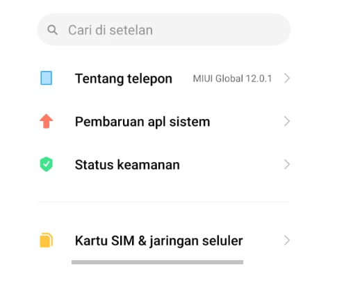 Menu Jaringan di Setelan HP