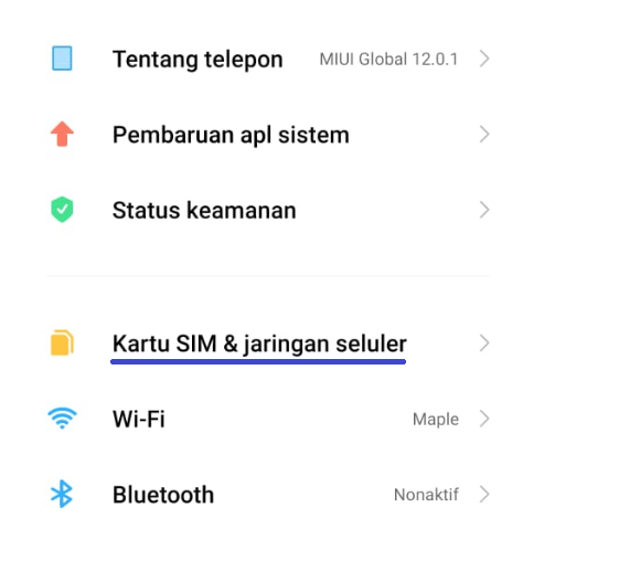 Menu Pengaturan Kartu SIM dan Jaringan