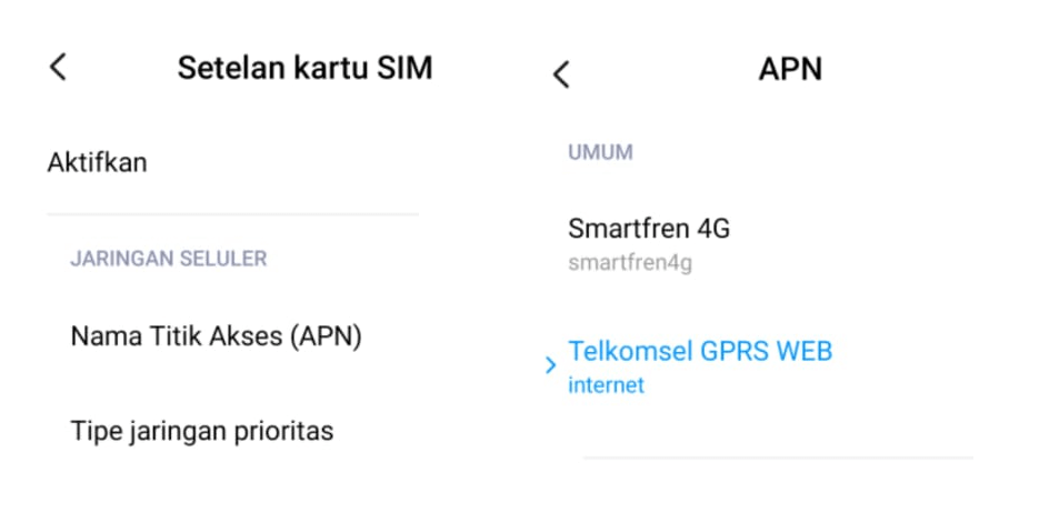 Cek Setting APN