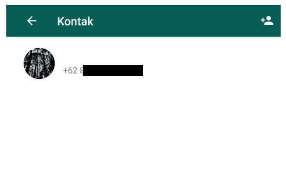 Contoh Blokir Kontak di WhatsApp