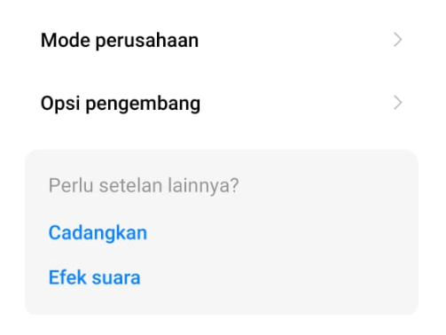 Opsi Cadangkan Setel Ulang