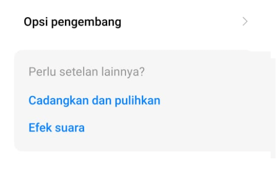 Opsi Cadangkan di Pengaturan HP