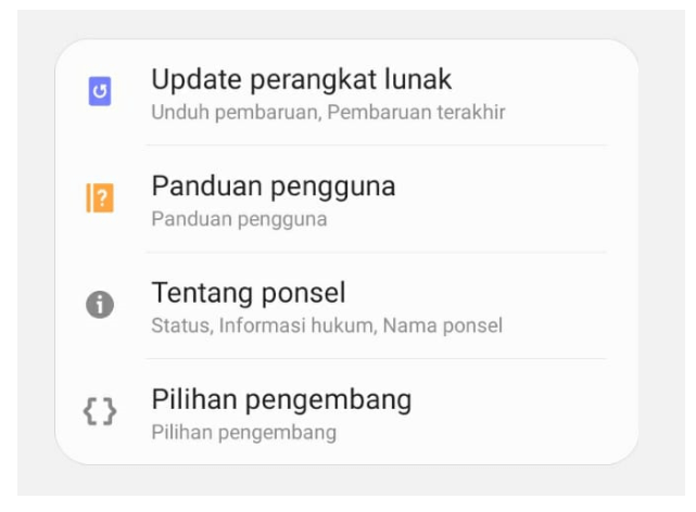 Contoh Opsi Pengembang Aktif