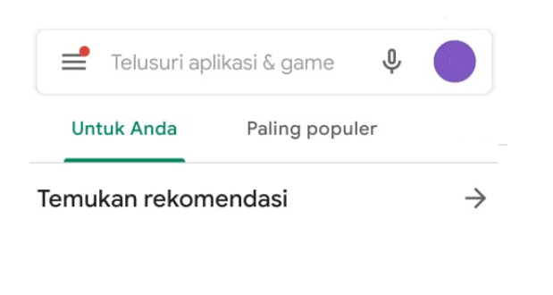 Menu Setelan di Playstore