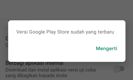 Contoh Pesan Playstore Versi Terbaru