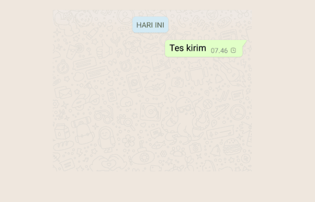 Tes Kirim Pesan WhatsApp