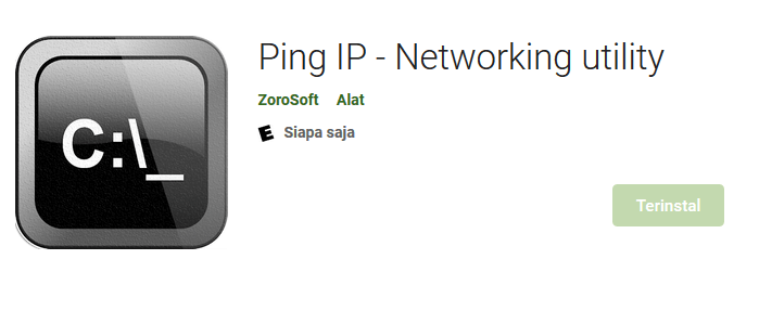 Ping IP Playstore