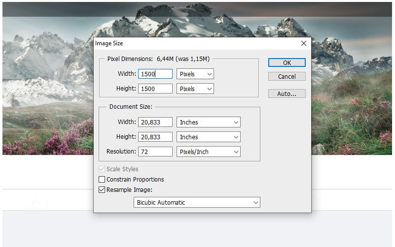Atur Width dan Height Image