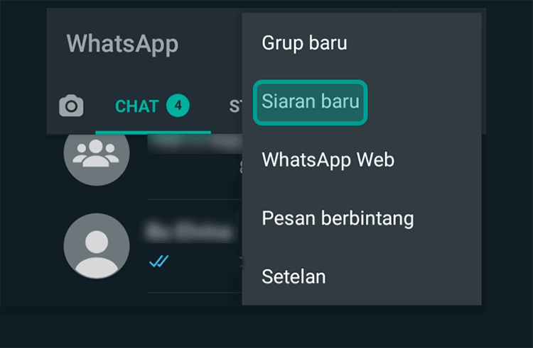 Menu Siaran WhatsApp