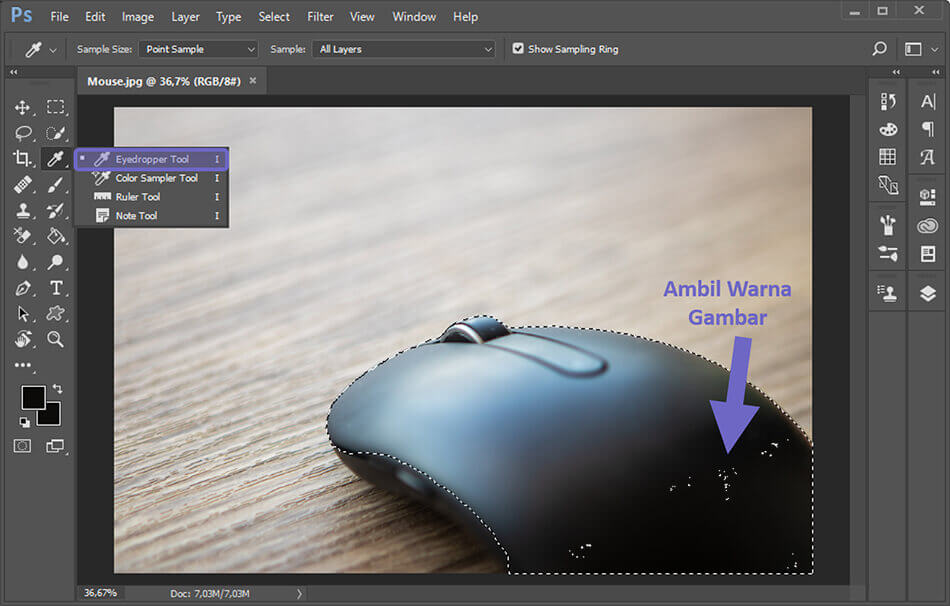 Eyedropper Tool di Photoshop