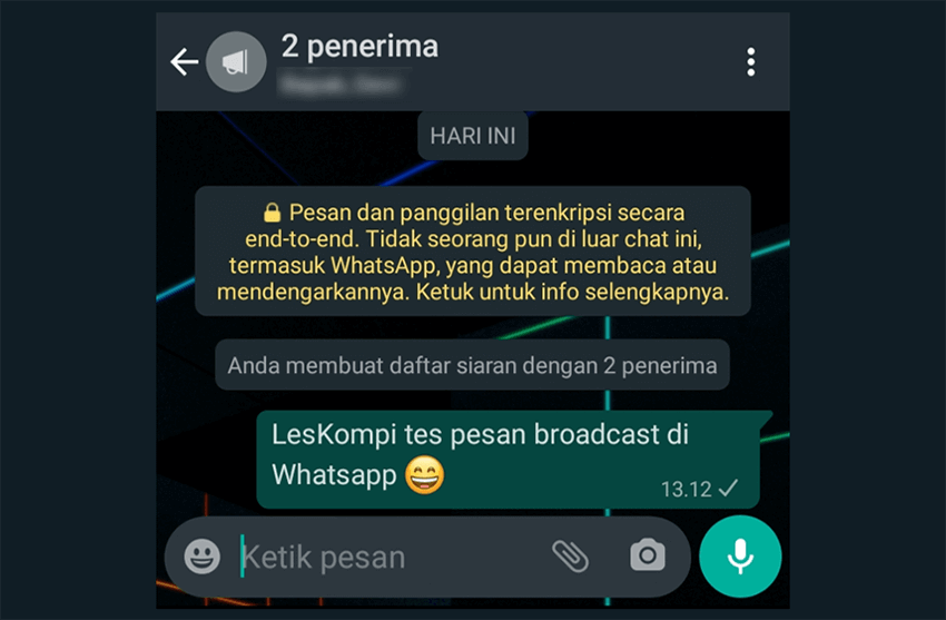 Cek Hasil Pesan Broadcast WhatsApp