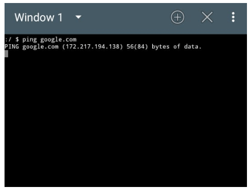 Contoh Proses Ping di Terminal Emulator Android