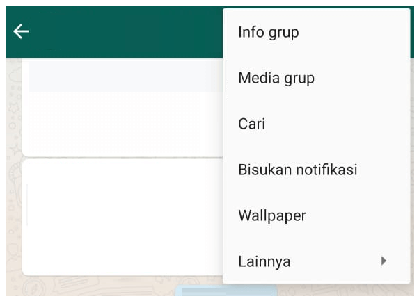 Opsi Info Grup