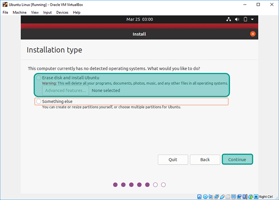 Installation Type Ubuntu