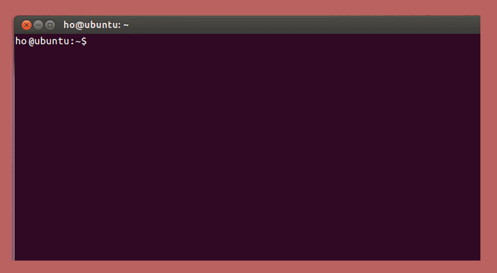 Contoh Terminal Linux