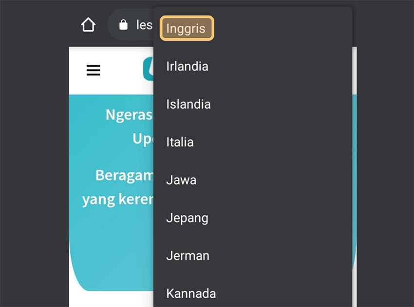 Cari Bahasa Tujuan di Chrome