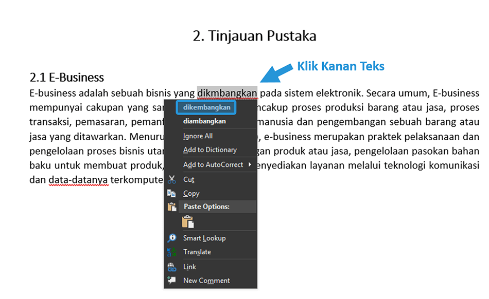 Contoh Koreksi Tulisan Typo