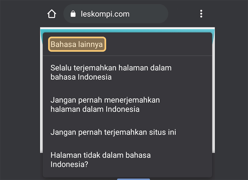 Opsi Bahasa Lainnya