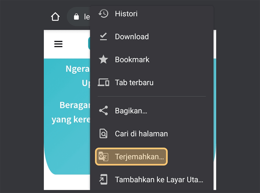 Menu Terjemahkan Chrome Android