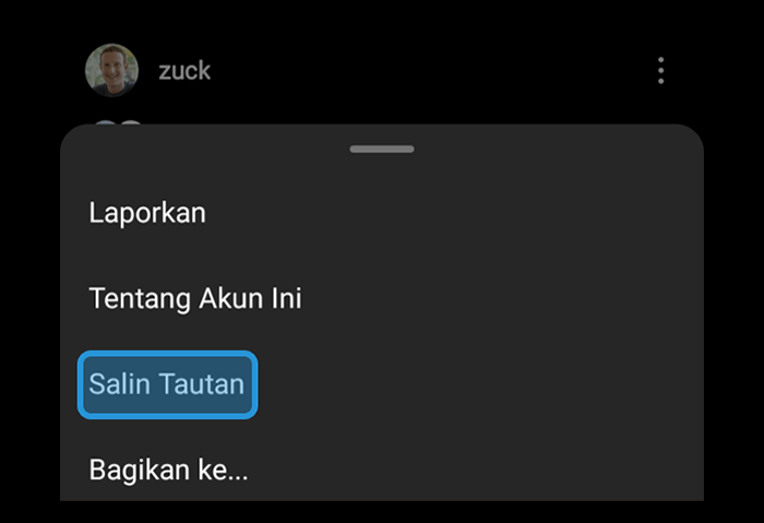 Salin Tautan Postingan Foto Instagram