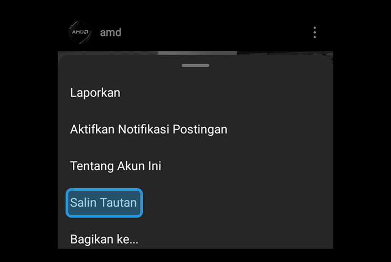 Salin Tautan Postingan Video Instagram