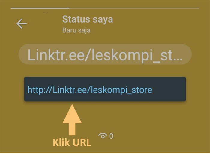 Contoh URL Linktree Aktif di Status WhatsApp
