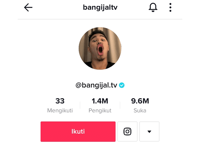 TikTok BangijalTV