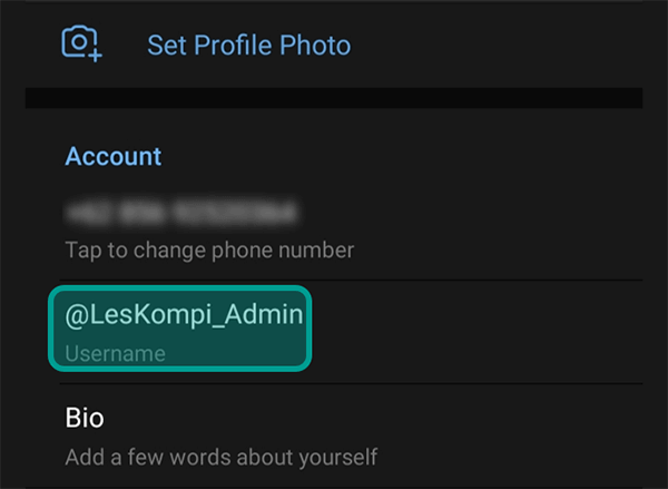 Contoh Cek ID Telegram