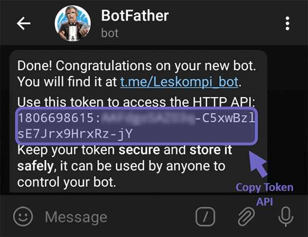 Copy Token API Bot Telegram