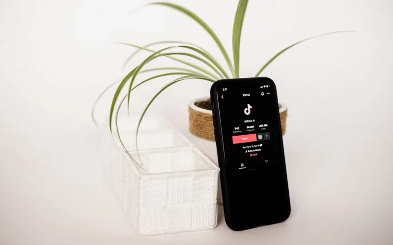 Jadwal FYP di TikTok