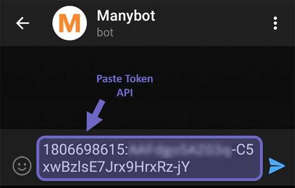 Taruh Token API di Manybot