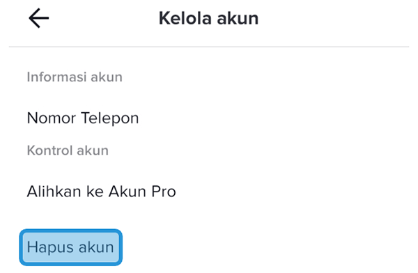 Pengaturan Hapus Akun TikTok