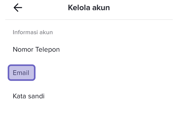 Menu Email di TikTok